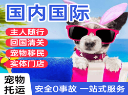 西安机场物流国际宠物托运 【国